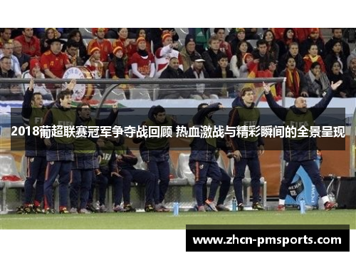 2018葡超联赛冠军争夺战回顾 热血激战与精彩瞬间的全景呈现