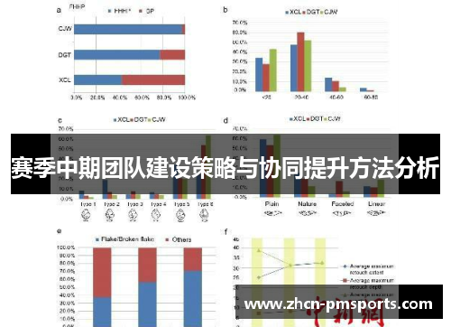 赛季中期团队建设策略与协同提升方法分析