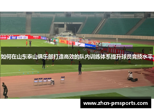 如何在山东泰山俱乐部打造高效的队内训练体系提升球员竞技水平