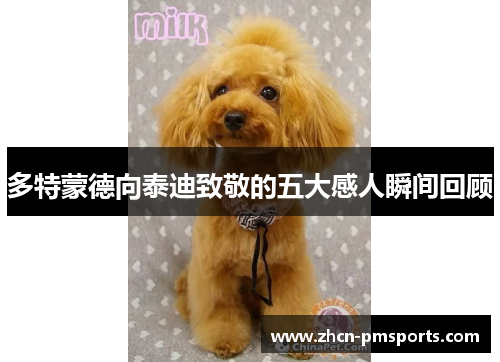 多特蒙德向泰迪致敬的五大感人瞬间回顾