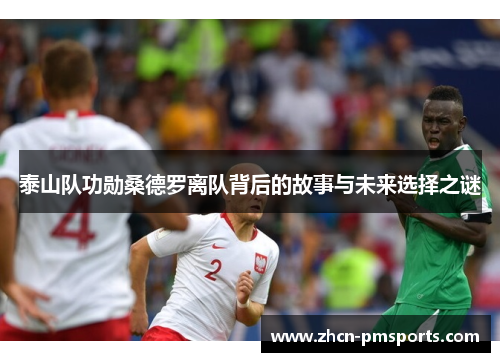 泰山队功勋桑德罗离队背后的故事与未来选择之谜
