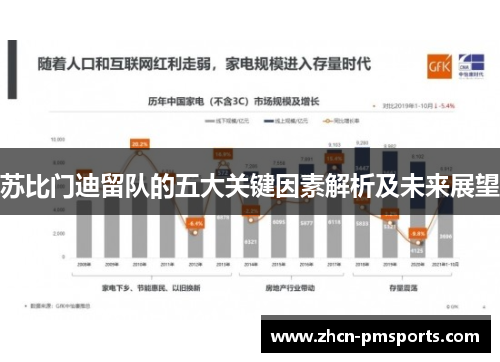 苏比门迪留队的五大关键因素解析及未来展望