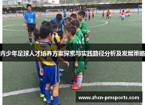 青少年足球人才培养方案探索与实践路径分析及发展策略